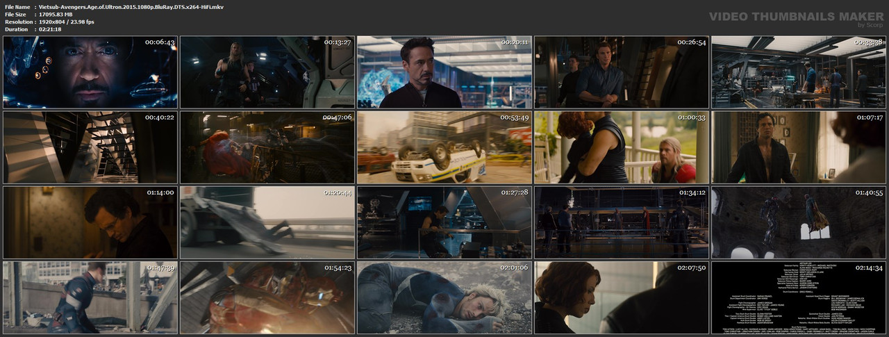 Vietsub-Avengers-Age-of-Ultron-2015-1080p-Blu-Ray-DTS-x264-Hi-Fi-mkv.jpg