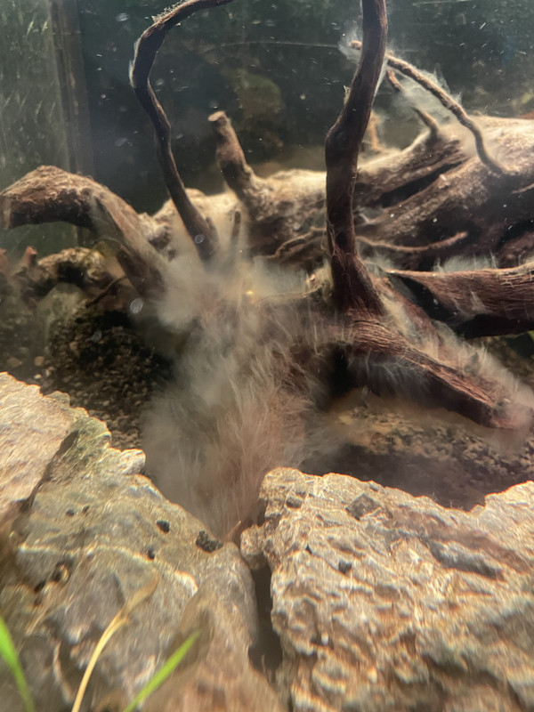 1308E5B8-DB90-4B3A-AEEB-BEEF913DE8FB