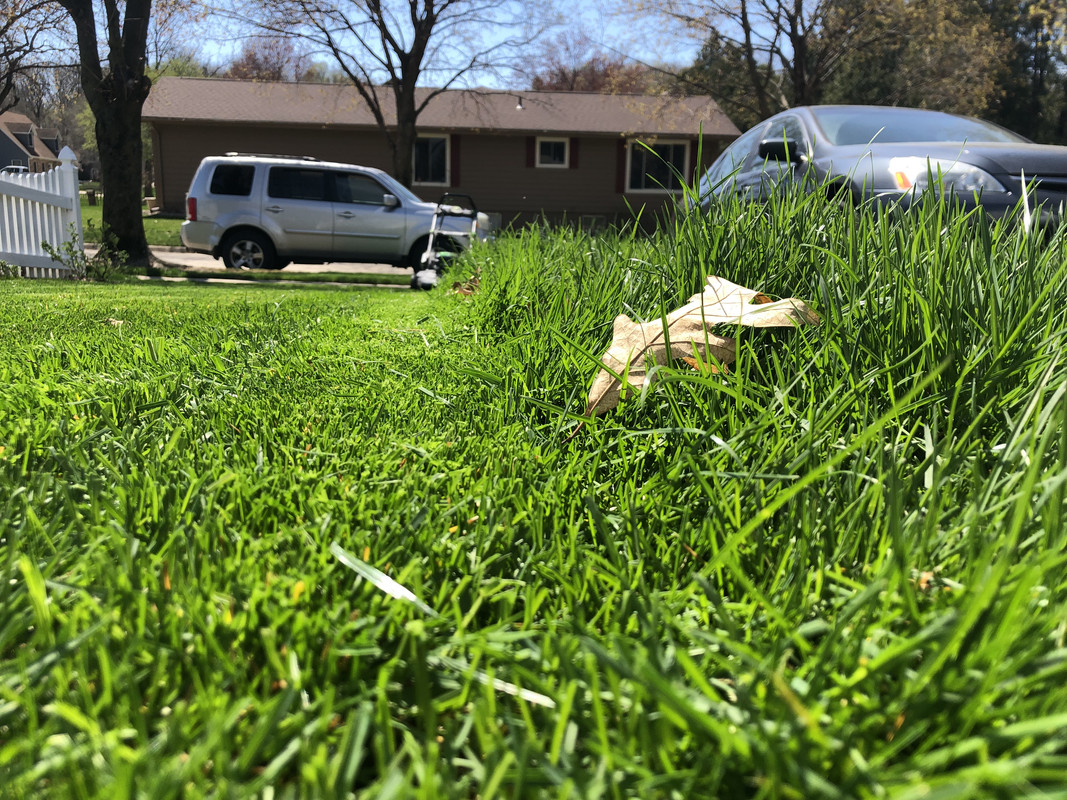 5561DB0D-44E1-48A2-B4B4-8CE08E61D392