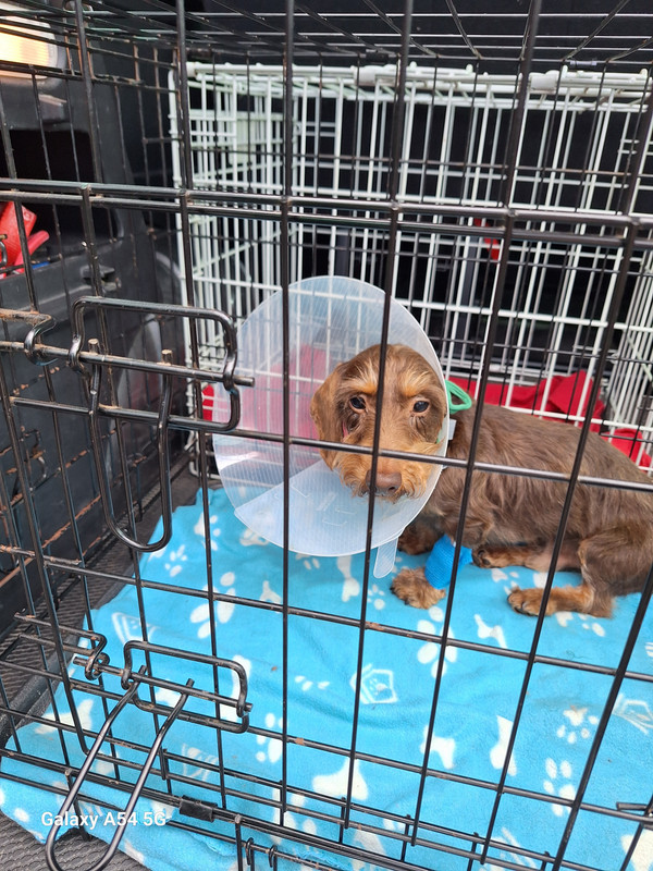 [Image: 20240709-173011.jpg]