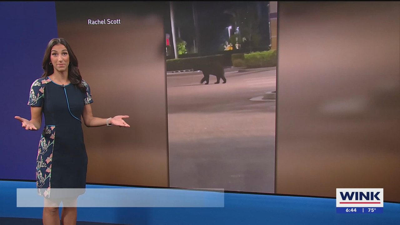 WINK News at 630am_20250526_11301200.ts_snapshot_15.56.395