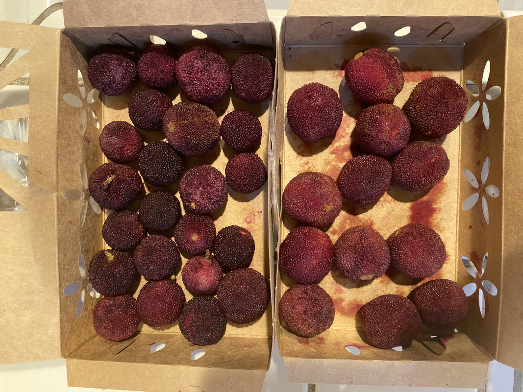 725EFE1A-96FC-4852-8F48-8458B851B5F2