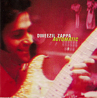 Dweezil Zappa - Automatic (2020).mp3 - 320 Kbps