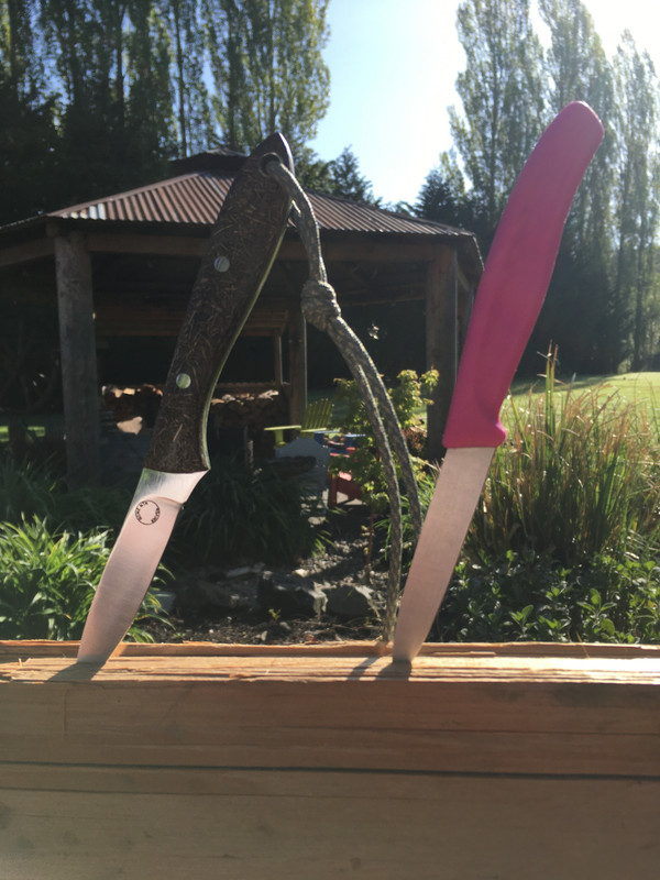 2AEBAE1B-69C1-478B-876A-619FCF52677B