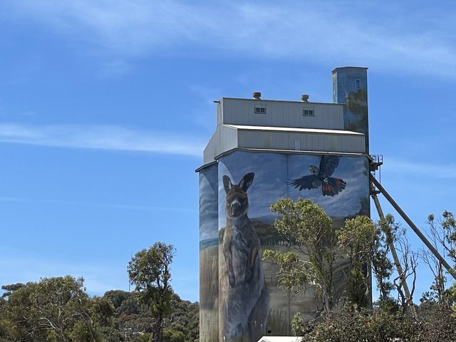 Hasta pronto Kangaroo Island! - El abrazo a Pearl (3)