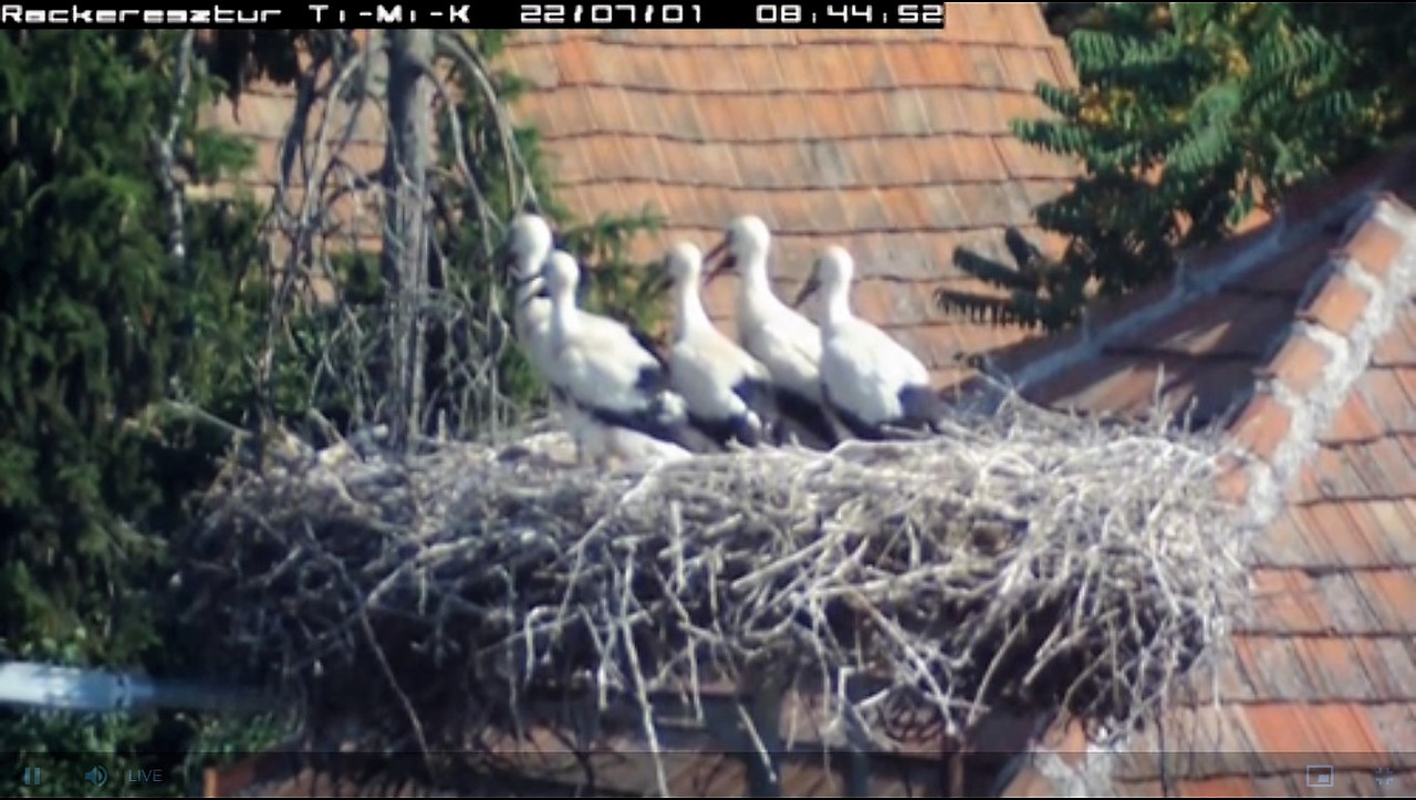 2022-07-01_084618 másolat