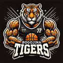 second team logo