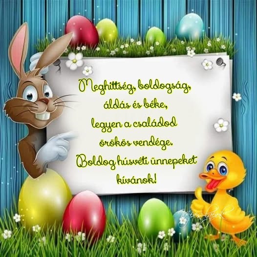 661040097 1325877116263006 1971787557949983636 n