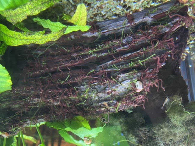 41612AC8-C121-45AF-9F8D-52394E299660