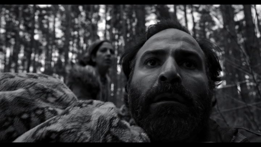 vlcsnap-2024-11-22-14h41m36s661