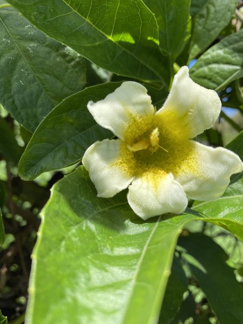 715D4C26-C787-4505-B3AE-5F228645A678