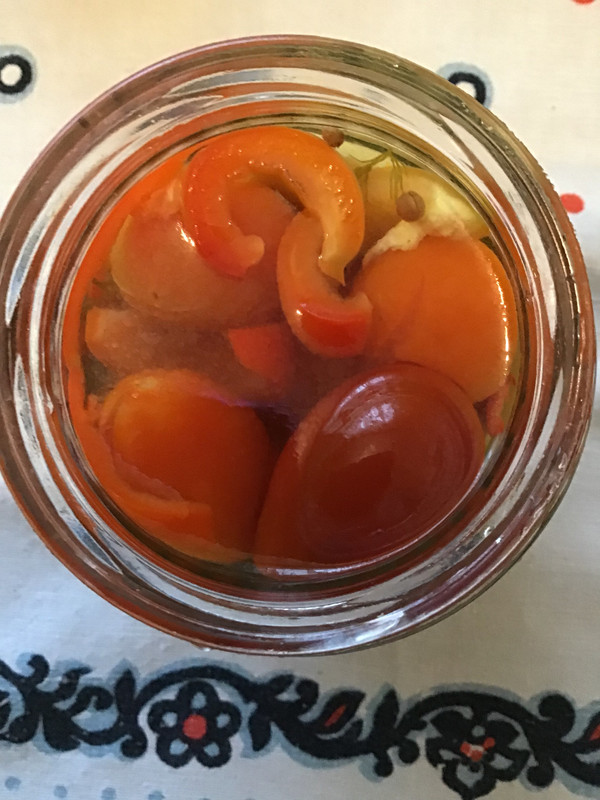 3E2CA536-CF24-41B5-9F4E-12132224C876