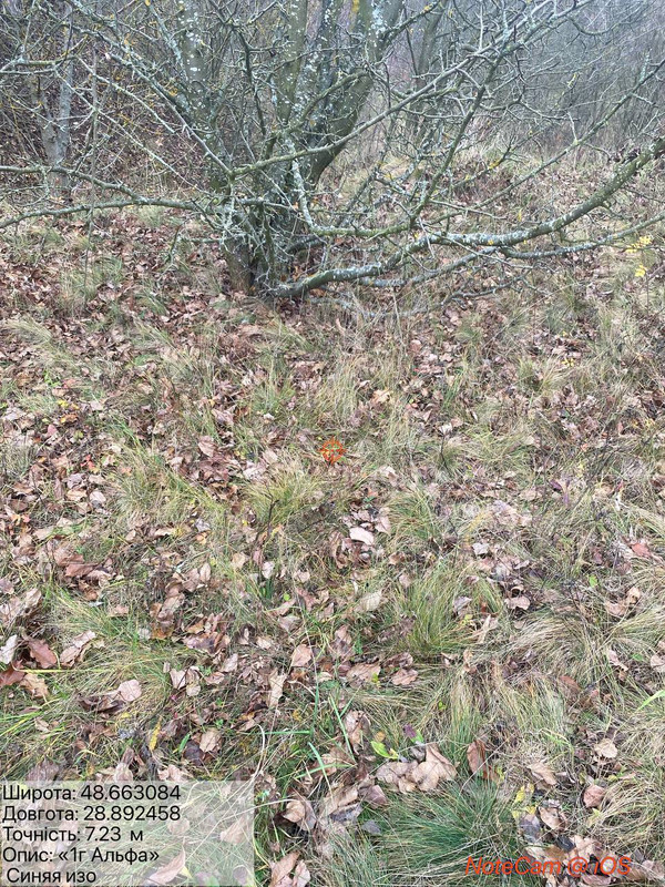 photo 63 2025 11 08 16 53 47