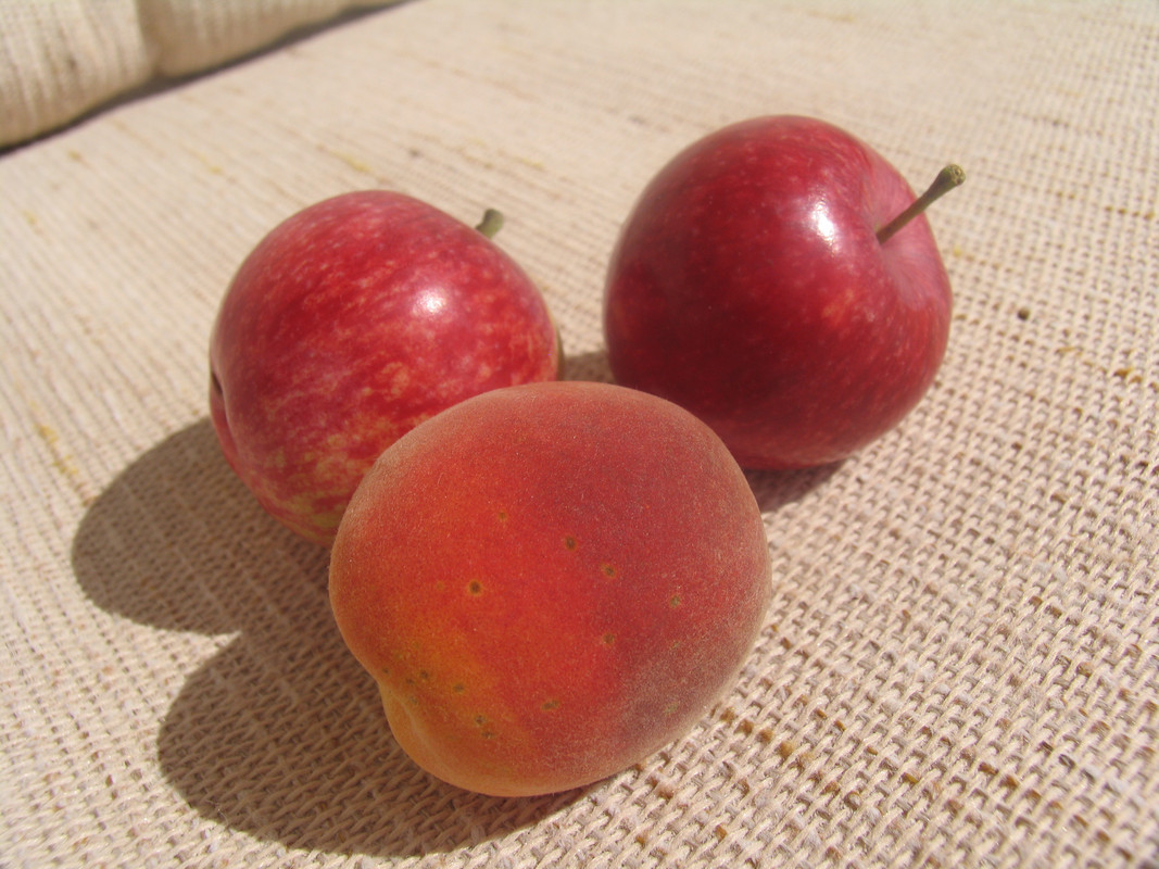 31 Июля 2024 027