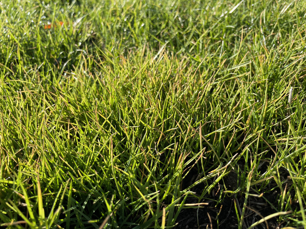 BC4CE101-9378-4A3D-8722-309F2708C867