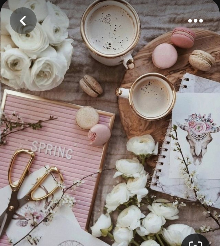 Screenshot_20230406_222826_Pinterest