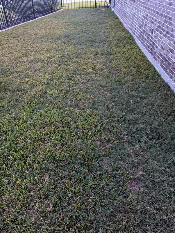 Help Me Devise A Bermuda Suppression Strategy Lawn Care Forum