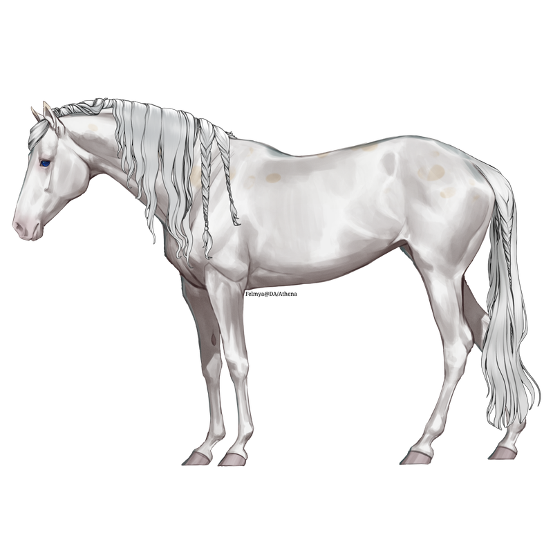 Untitled88-20250331192833.png