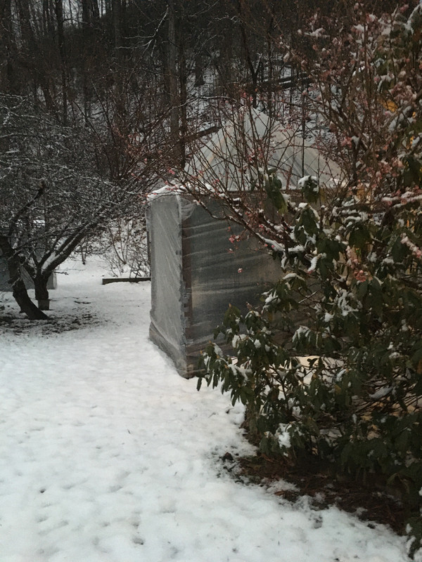 F9A91615-434A-4F14-887B-7B1071D1242C