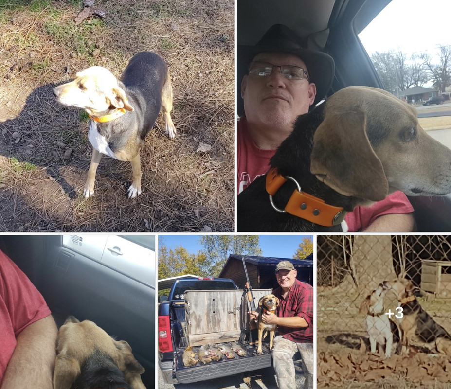 82262F6E-F6C2-4FD1-9D30-789C8F88DA19