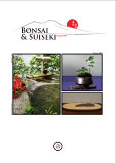 Bonsai e suiseki magazine - Giugno 2009