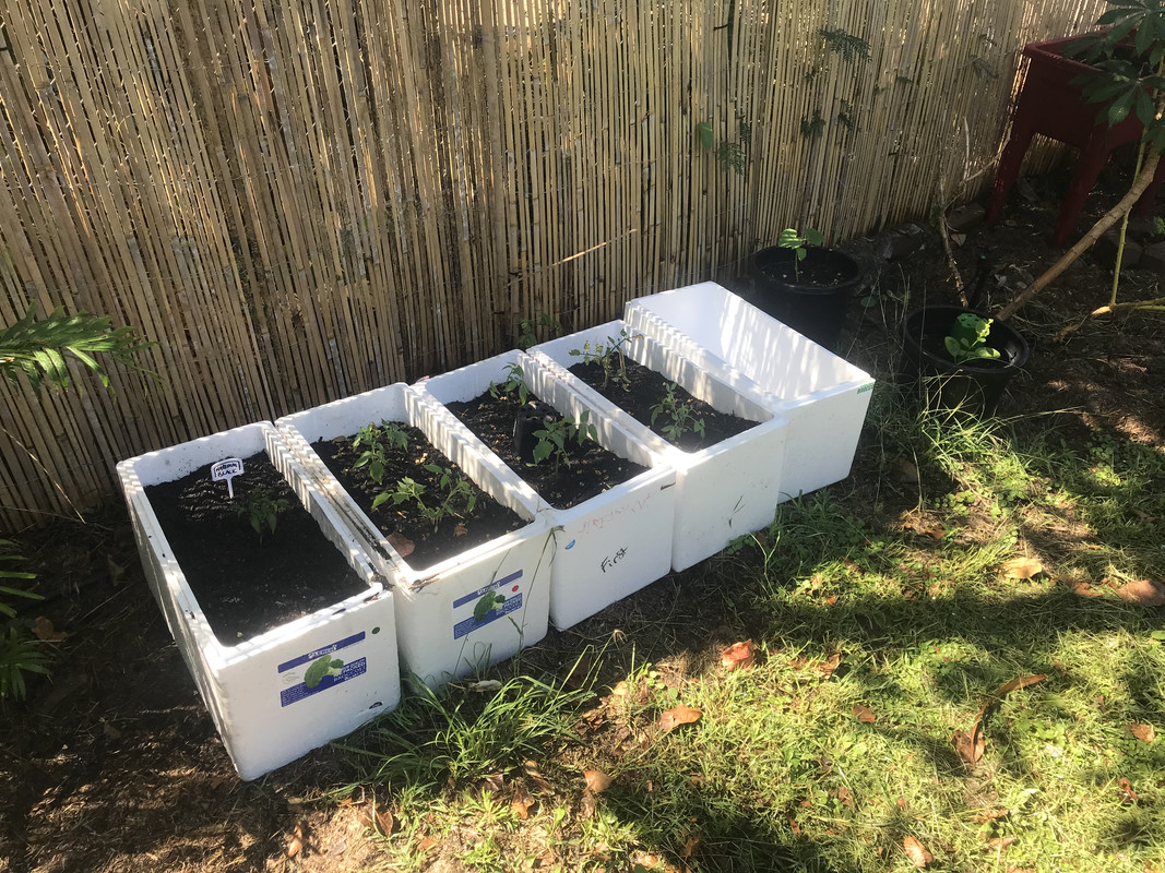 91AC8485-2FA6-4A4B-ADC2-F273F60CA819