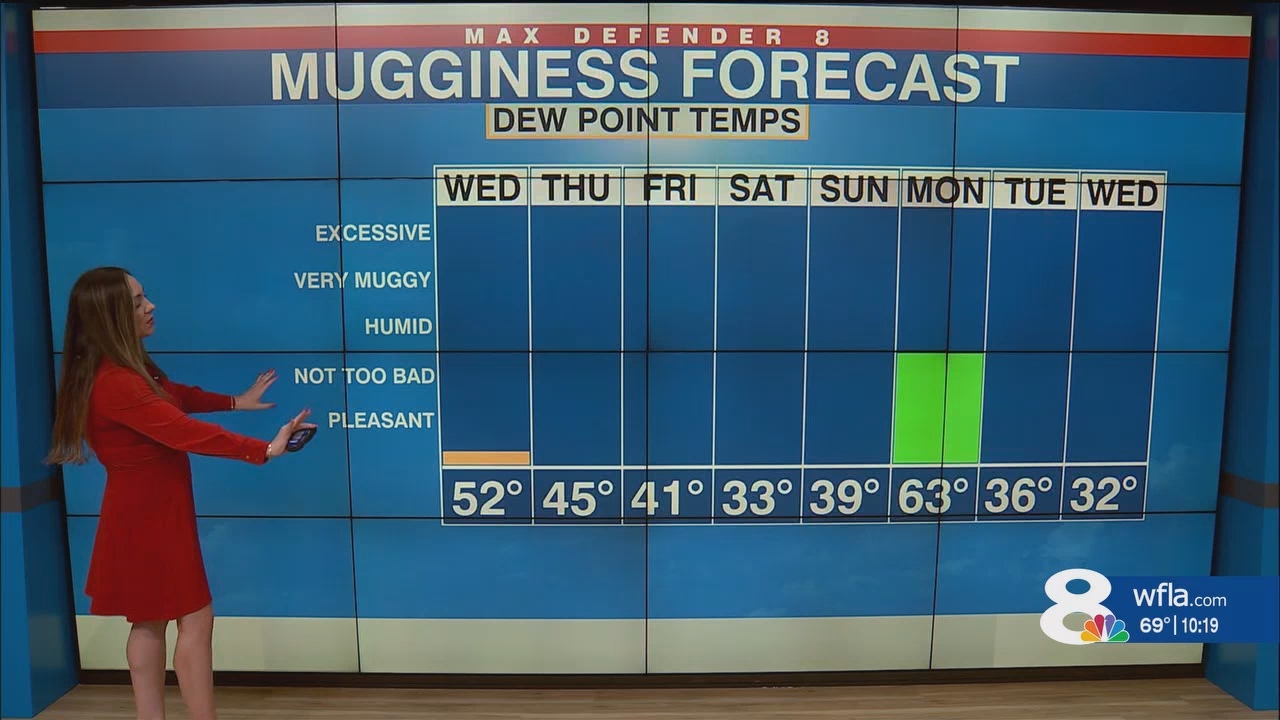 NewsChannel 8 News at 1000pm_20250101_03000330.ts_snapshot_20.19.135