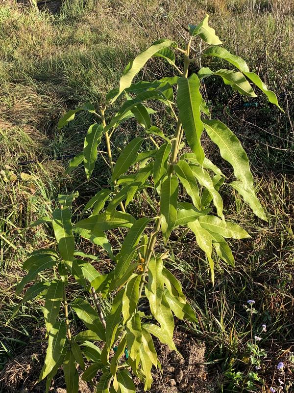 BB382DD9-7C0C-4622-A7A8-87B22912F0C0