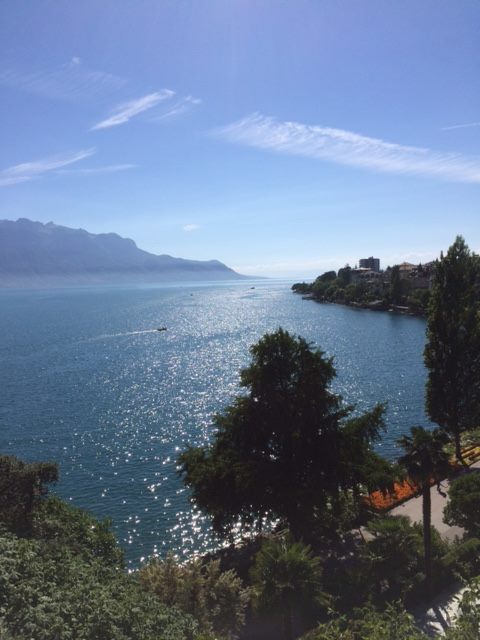 13567249_1197359516949491_7820288834187201795_n