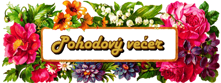 6X5Vitsb-Kx-QG-gifolkiuuu