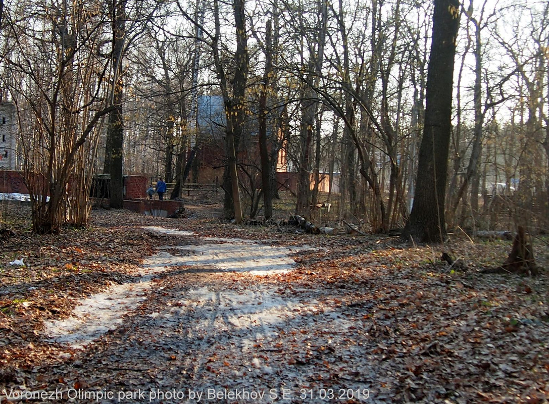 Воронеж, парк, весна