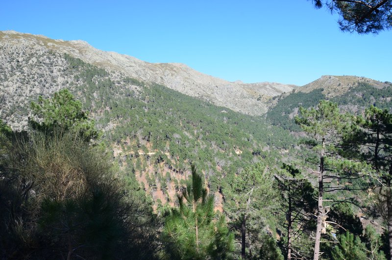 RUTA EMBALSE DEL HORCAJO Y GARGANTAS DEL VALLE DEL TIETAR-20-2-2016-AVILA - Paseando por España-1991/2016 (64)