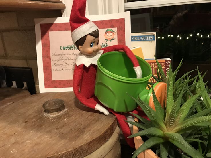 TheElf on the ShelfPlant Thought