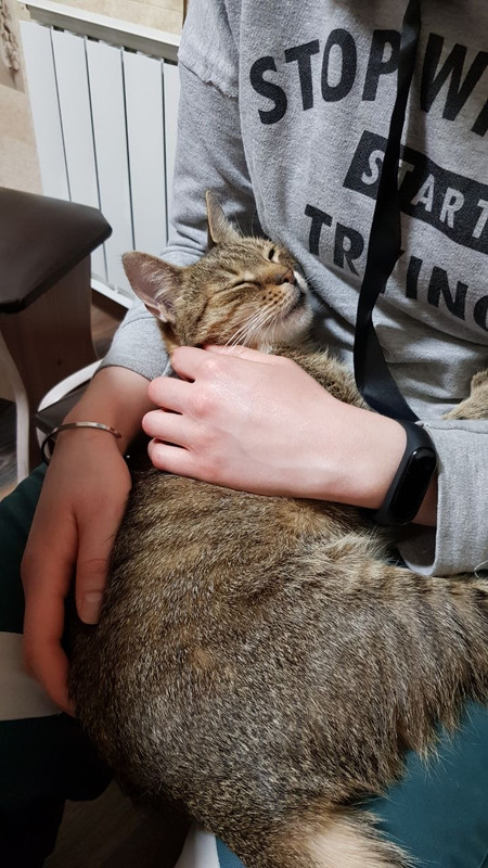 FFE9ED9B-48F4-48AF-AD5C-E4E1311B89AA