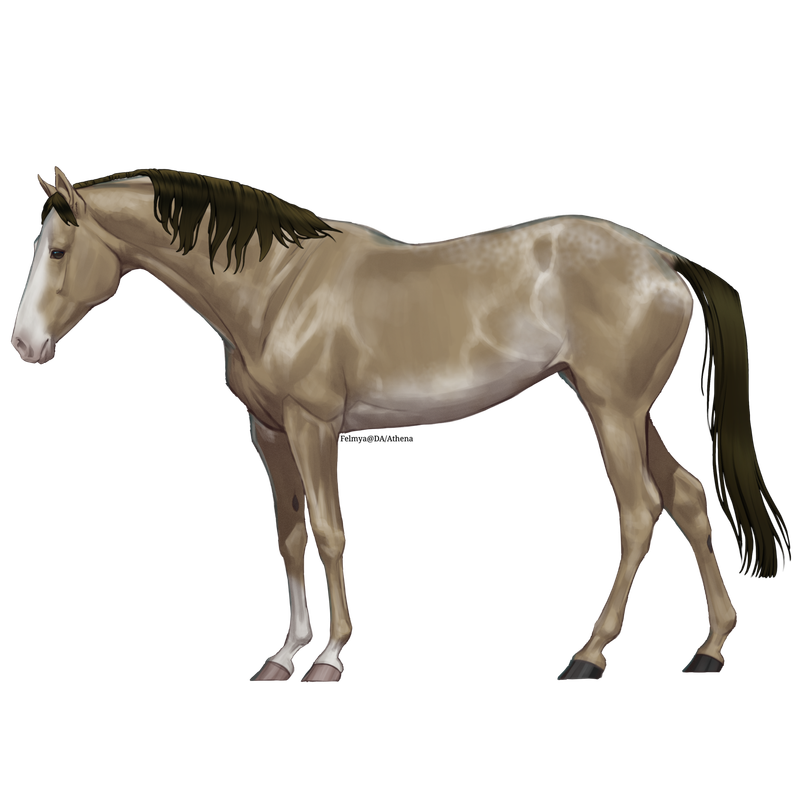 Untitled88-20250324183527.png