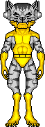 Cat-Man
