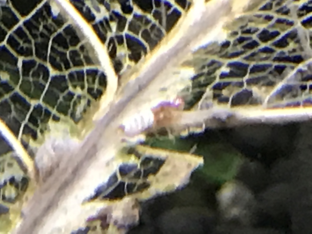 0A9B6E22-6751-42C4-AA8D-536249312304