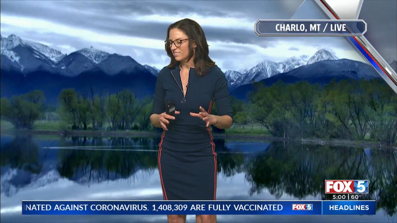 05.21 - 13.00.00 - FOX 5 Morning News at 5 00am  ᴺᵉʷ. Local news, wea....ts_snapshot_02.12_[2021.05.
