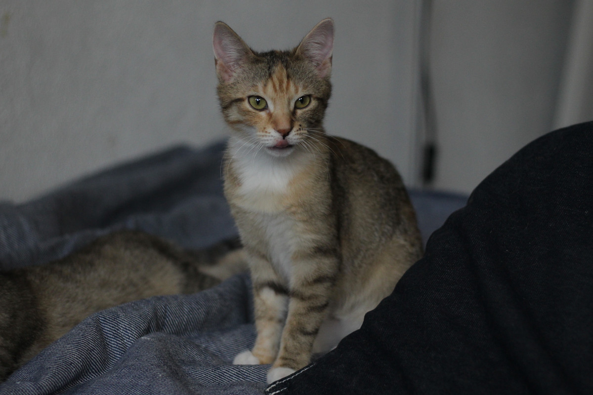 IMG_2196 — копия