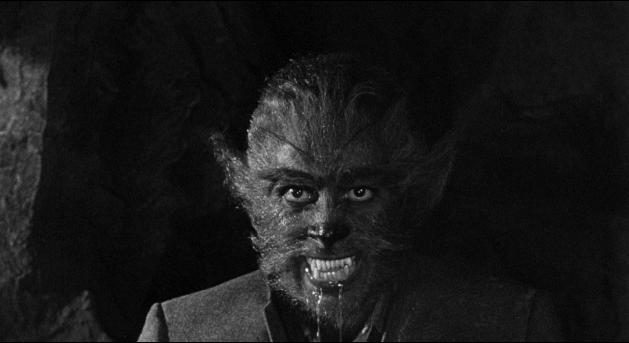 THE WEREWOLF REFERENCE (2)