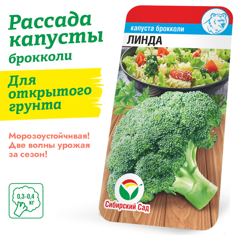 Капуста брокколи Линда