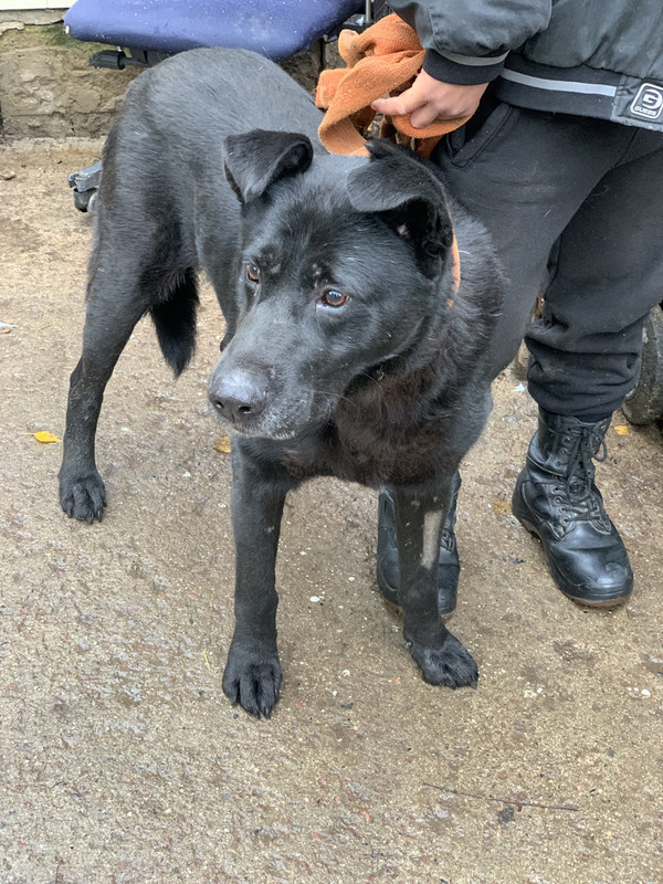 017B2DC0-29D1-4F63-80F3-320044CF3CA0