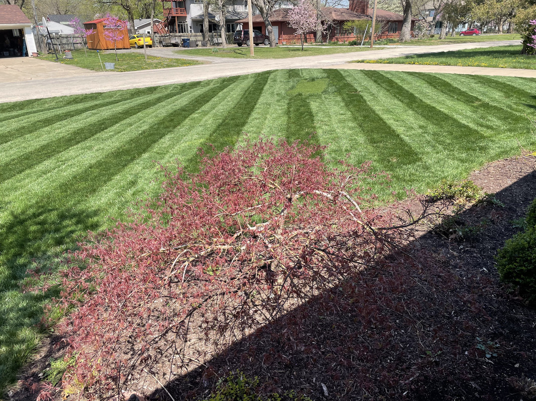 55CB0C4B-18EB-40EE-8C6F-29500416F437