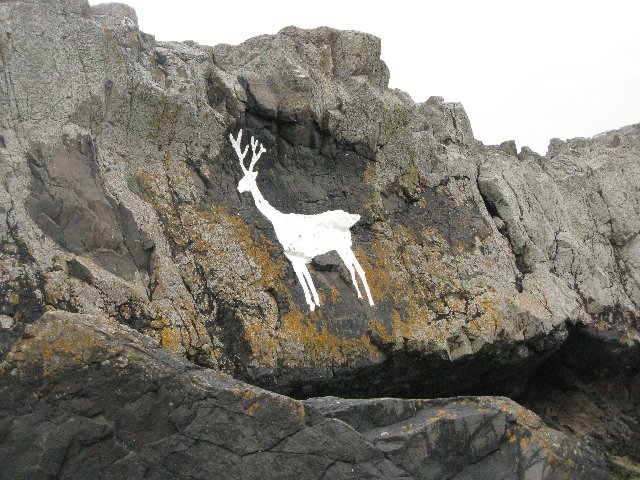 368264B7-0E1F-429E-A83B-A641176BAFD7