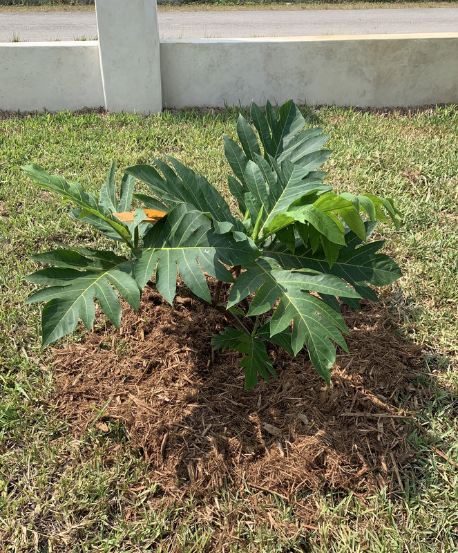 79936601-820A-4BDE-B252-856A34D136EF