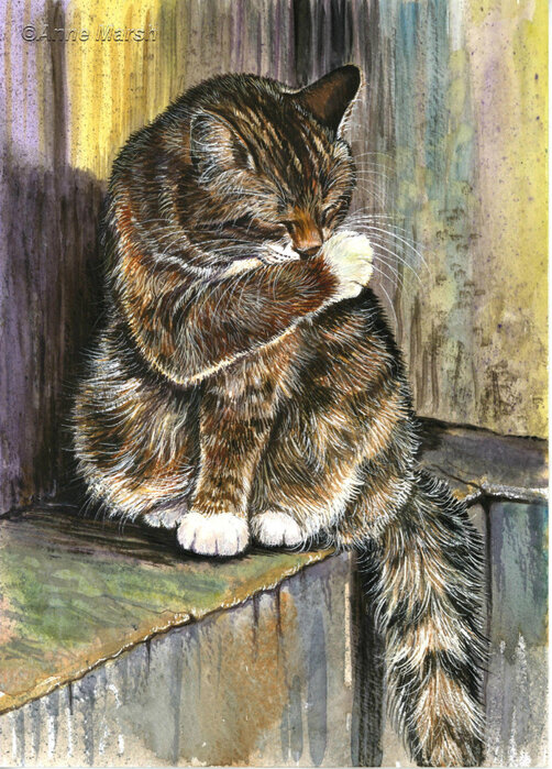 17