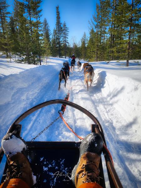 PARTE II - Auroras - 3.er reportaje por Laponia norte - Marzo 2025 (4)