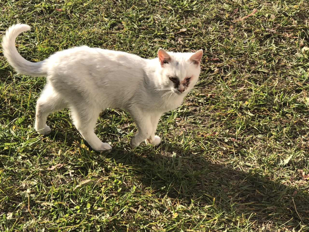 01CC0F73-0CE5-47A1-94A8-E6B470C883D0