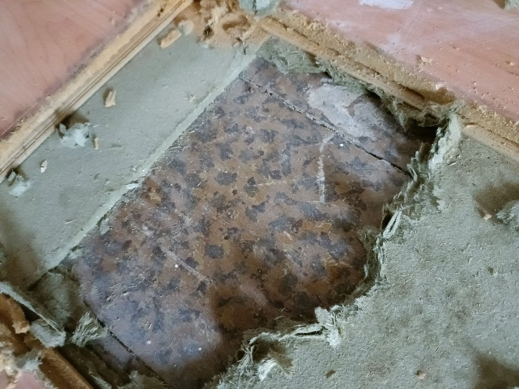 306870393_495167432053012_8971702579727055350_n(1)