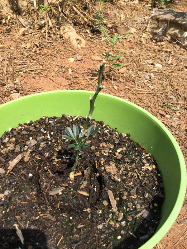 601A8754-EFA0-49F3-BB7A-5CD07B75BB75